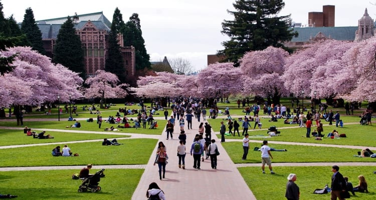 UW Seattle