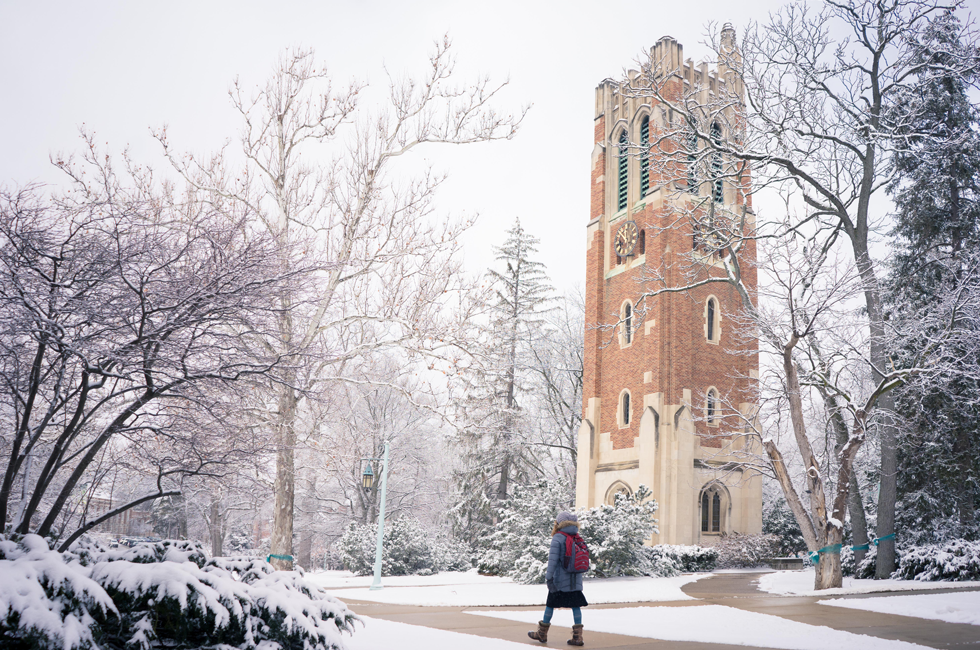 Michigan State University