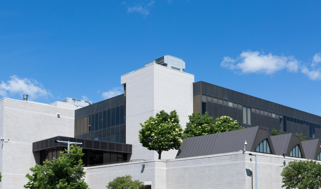 Minneapolis College of Art and Design